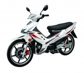 2012 Nipponia Brio 125 photo
